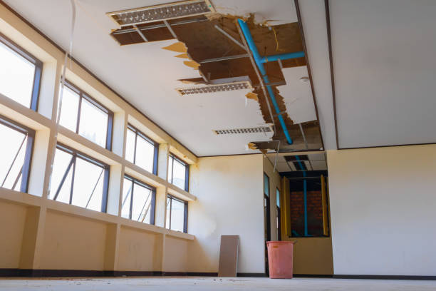 Best 24/7 water damage repair  in Cartersville, GA