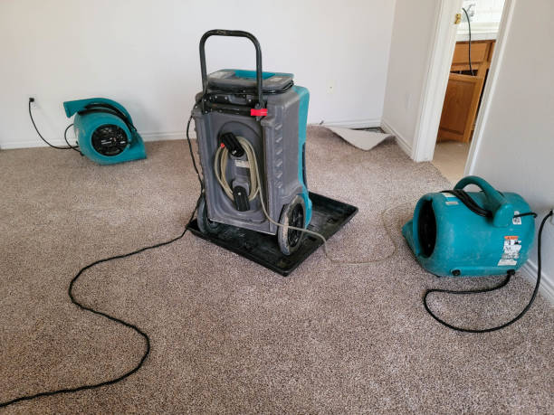 Best Flooded house restoration  in Cartersville, GA