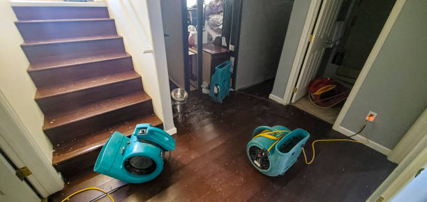 Best Water damage restoration cost  in Cartersville, GA