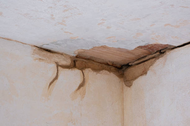 Best Water damage restoration cost  in Cartersville, GA