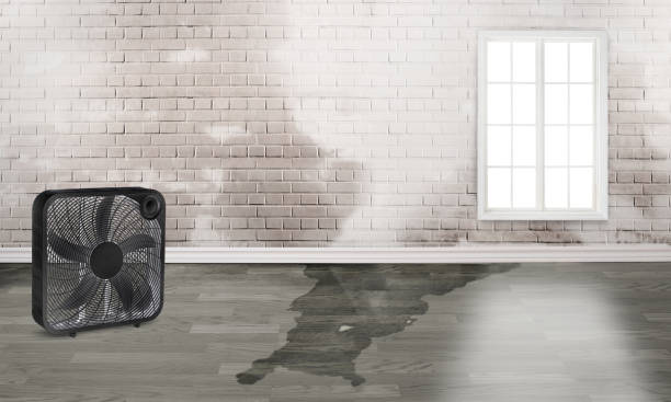 Best Emergency water damage restoration  in Cartersville, GA