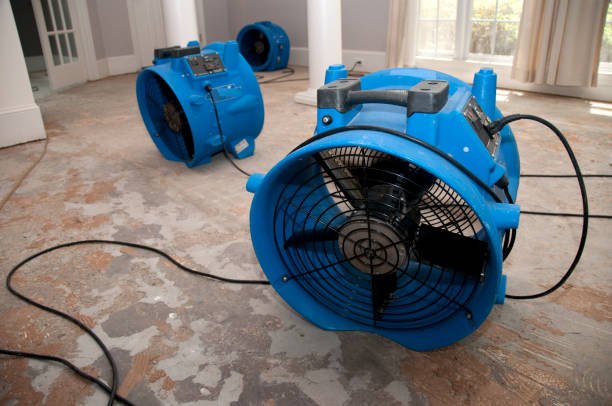 Best Water damage cleanup near me  in Cartersville, GA