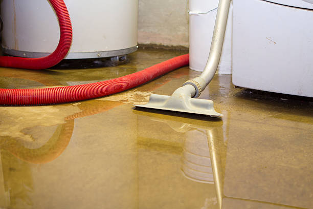Best Fire Damage Restoration  in Cartersville, GA