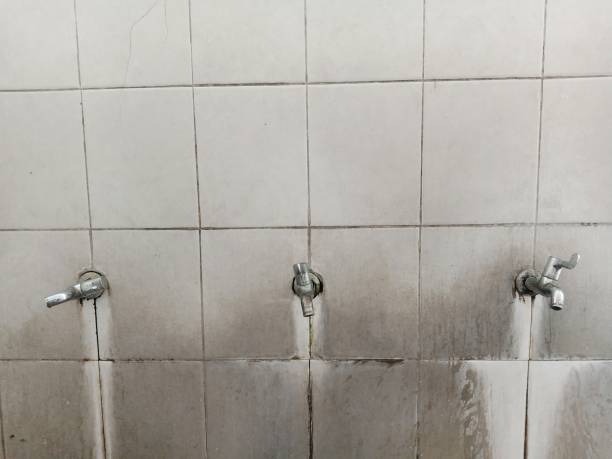 Best Flood damage cleanup  in Cartersville, GA