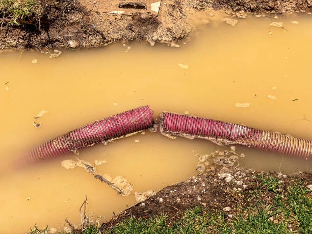 Best 24-hour water damage restoration  in Cartersville, GA
