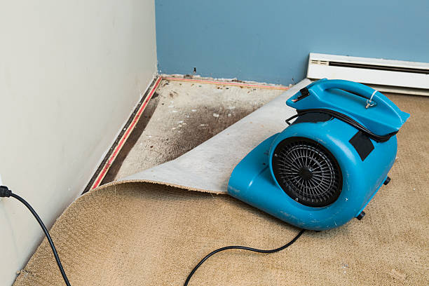 Reliable Cartersville, GA Water damage restoration Solutions
